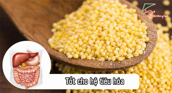 Hạt kê có tác dụng trừ những bệnh gì?